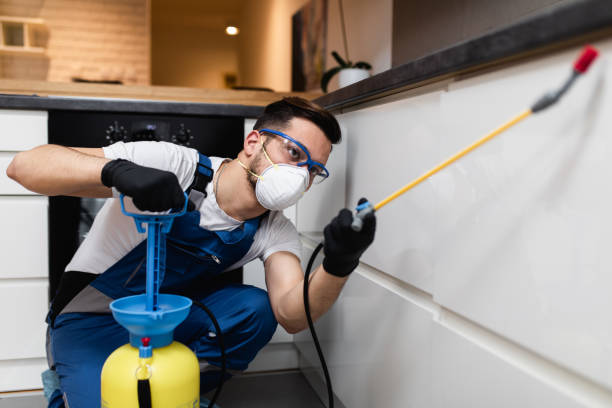 Best Commercial Pest Control Services  in Bellevue, MI