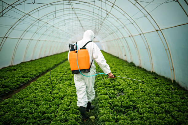 Best Best Pest Control Companies  in Bellevue, MI