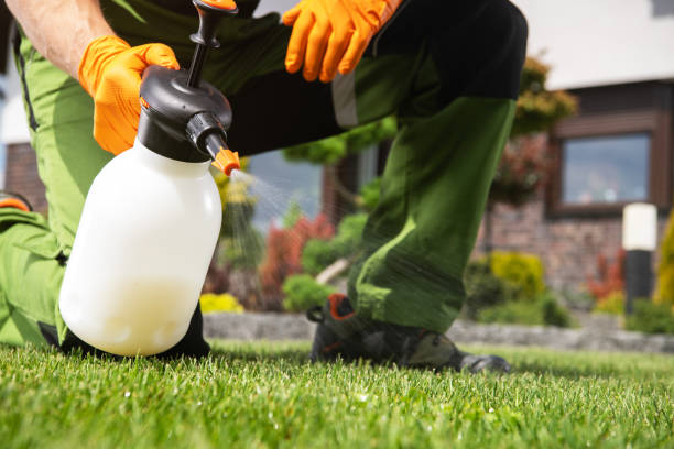 Best Rodent Control Near Me  in Bellevue, MI