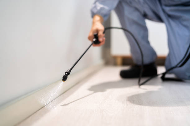 Best Pest Removal Services  in Bellevue, MI