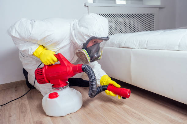 Best Rat Extermination Near Me  in Bellevue, MI