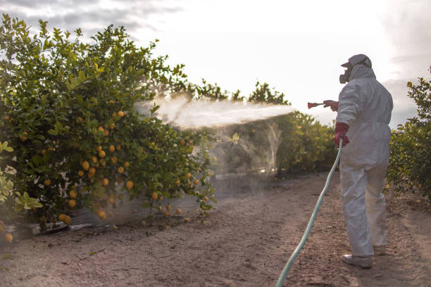  Bellevue, MI Pest Control Pros