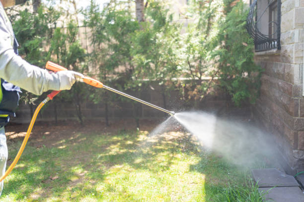 Best Wildlife Control Services  in Bellevue, MI