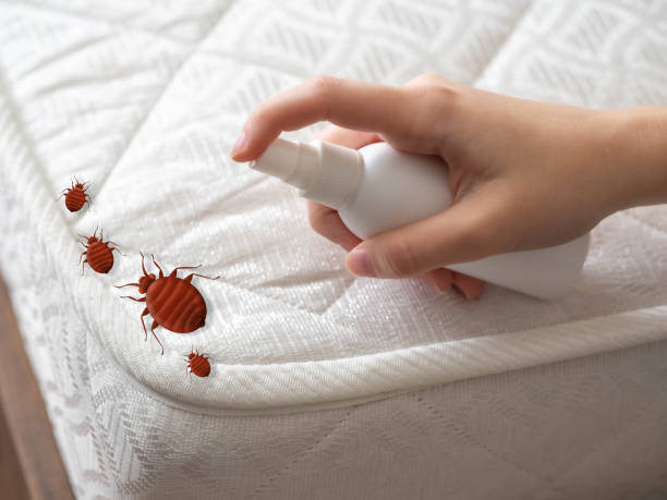 Best Pest Control Near Me  in Bellevue, MI