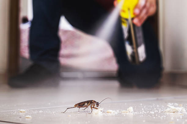Best Rodent Control Near Me  in Bellevue, MI