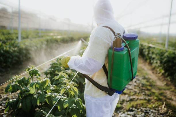 Best Pest Control Treatment  in Bellevue, MI